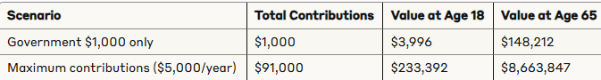 Comparing the long-term impact of the $1,000 government seed only vs. maximizing annual contributions